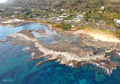 Sharks Cove - Amazing Snorkeling on the North Shore