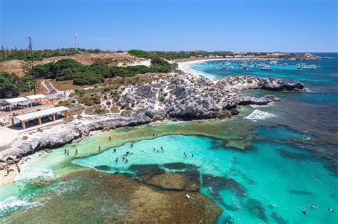 What to Bring & Do on Your Rottnest Island Day Trip - Rottnest Fast Ferries