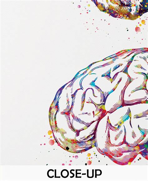 Brain Anatomy Human Brain Watercolor Print Medical Science Art | Etsy