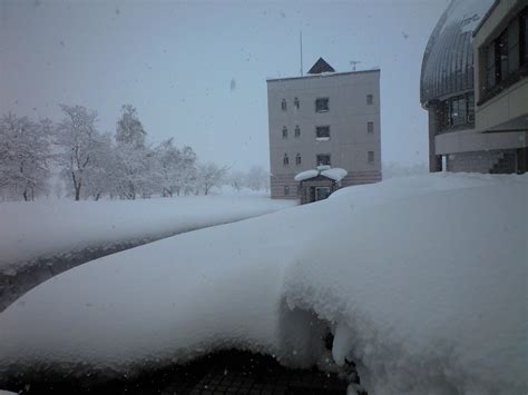 JAPAN through my eyes: Niigata snow