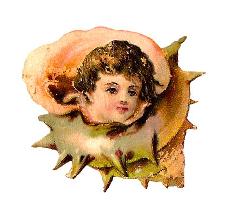 Free Vintage Child Graphics of Children's Portraits on Flower Basket, Fruit, and Sea Shell ...