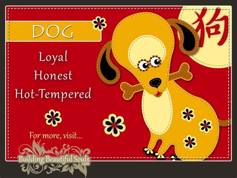 Chinese Astrology - The Dog | Chinese zodiac signs, Chinese numerology, Chinese zodiac