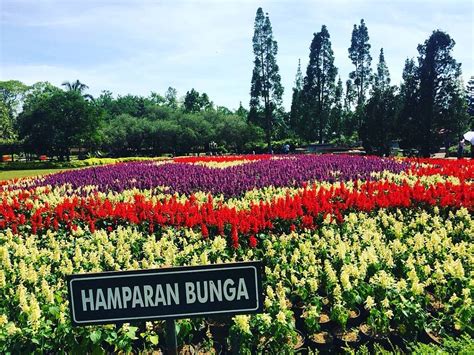 24+ Gambar Taman Bunga Cianjur - Galeri Bunga HD