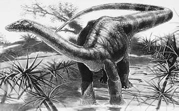 Magyarosaurus dinosaurs , facts | pictures -Magyarosaurus habitat.