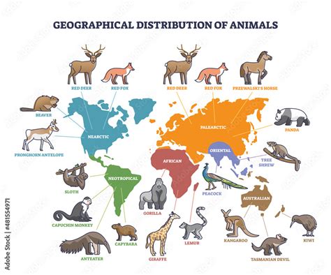 Geographical distribution of wild animals on world map outline concept ...