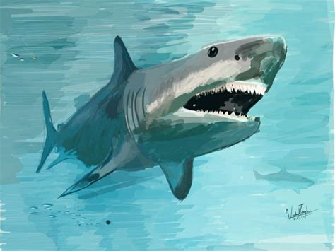 Great Megalodon Shark in 2023 | Shark art, Megalodon shark, Shark