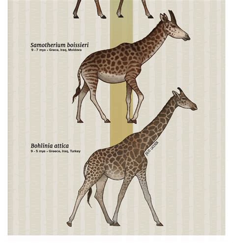 Julio Lacerda • Evolution Series: Reaching Ever Higher Giraffes...