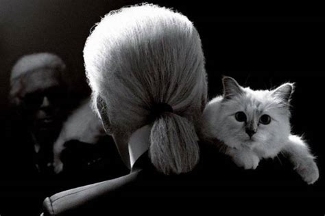 Choupette to inherit millions from Chanel designer Karl Lagerfeld