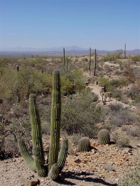 Arizona-Sonora Desert Museum