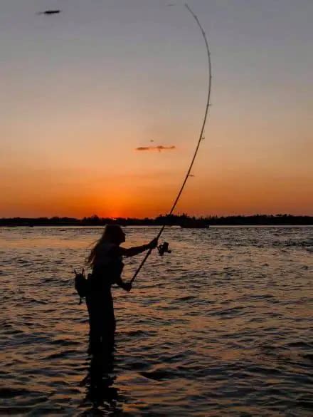 Complete Guide to Surf Fishing – Siesta Key Fishing Charters