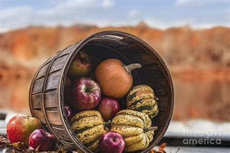 Thanksgiving Harvest Basket Photograph by Alissa Beth Photography ...