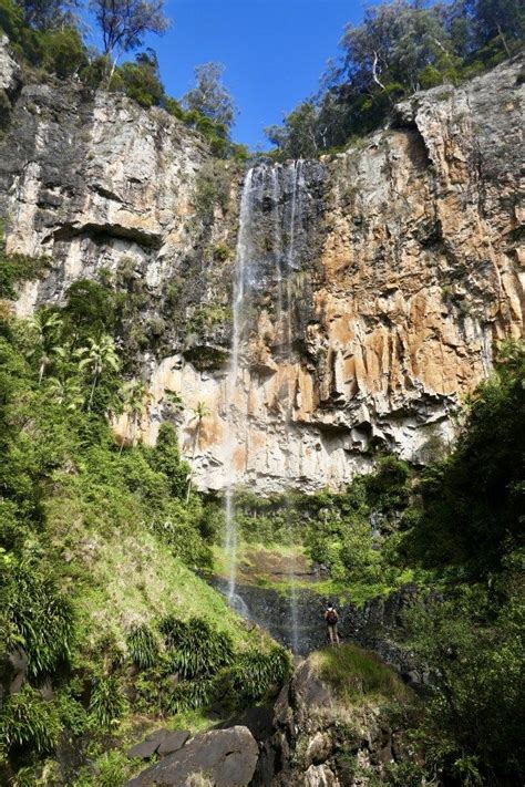 a man standing in front of a waterfall surrounded by lush green trees ...