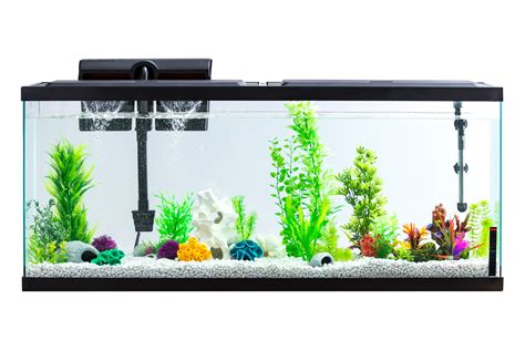 Aqua Culture 55-Gallon Glass Fish Tank LED Aquarium Kit (Online Only Price) - Walmart.com