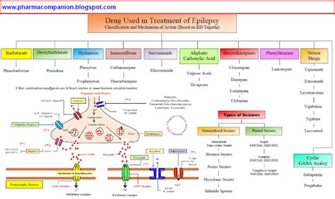 PHARMACOMPANION: ANTI-EPILEPTIC DRUGS CLASSIFICATION AND MOA ONE PAGE