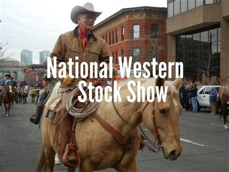 National Western Stock Show | National western, Show cattle, Westerns