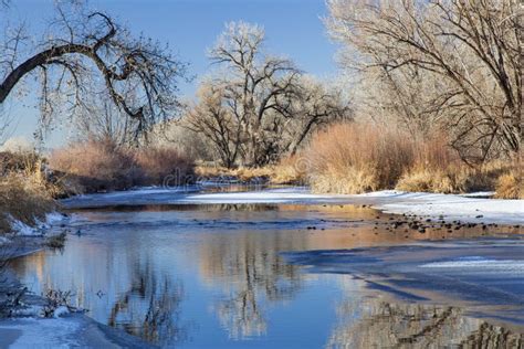 Winter river in Colorado stock image. Image of winter - 28485585