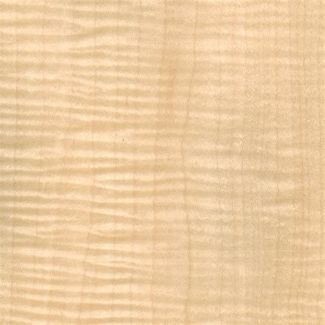 Hard Maple | Veneer Catalog | Houston Architectural Panel, LLC