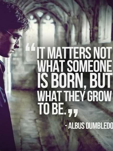 Dumbledore Quotes. QuotesGram