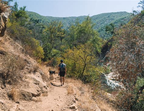 How To Hike The Cold Spring Trail Loop In Santa Barbara