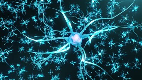 Animation Neurons Brainsynapse Neuron Cells Sending Stock Footage Video ...