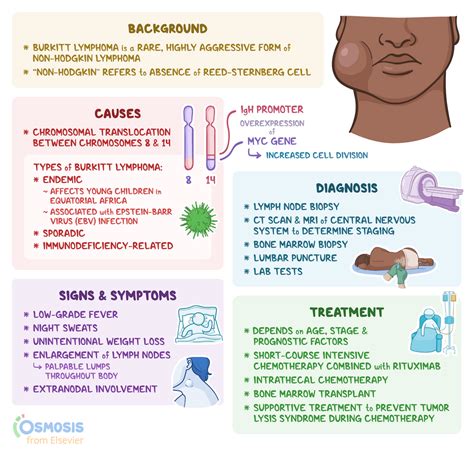 Burkitt Lymphoma: What Is It, Causes, Diagnosis, Treatment, and More ...