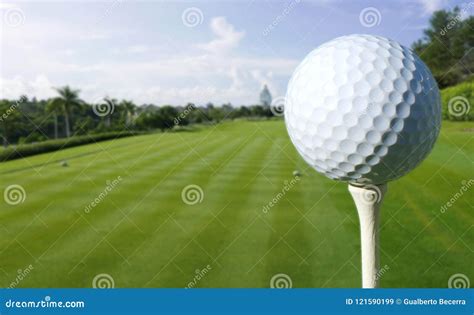 Close Up of a Golf Ball on a Course Stock Image - Image of trees, grass ...