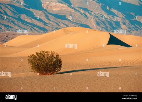 Sand dunes / Death Valley Stock Photo - Alamy