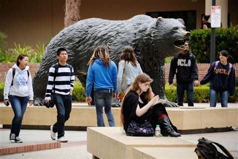 Teens Charged In UCLA Bruins Bear Statue Vandalism | Westwood, CA Patch