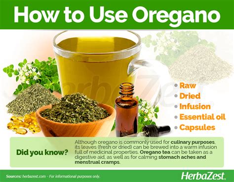 The Many Health Benefits of Oregano and How to Use It | Sports Health ...