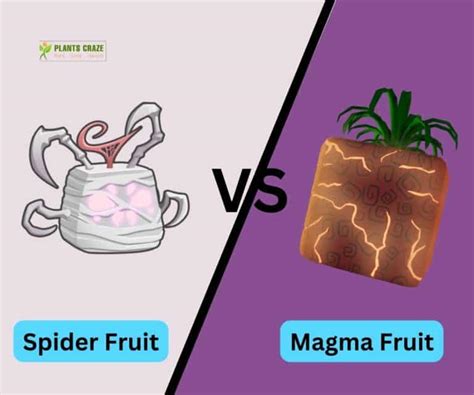 Is Spider Better Than Magma? A Complete Guide For Beginners