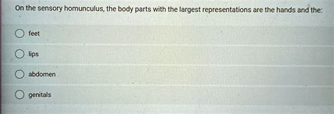 On the sensory homunculus, the body parts with the largest ...