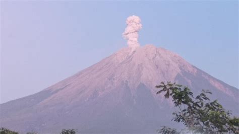 Gunung Semeru Erupsi Lagi, Asap Meletus Setinggi 700 Meter