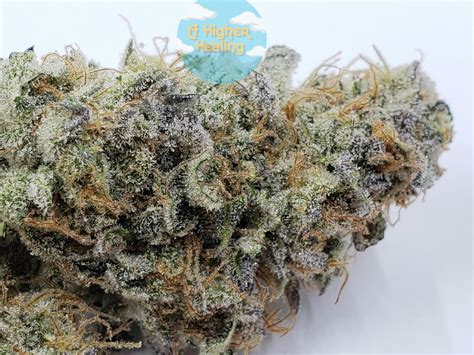 Blue Raspberry Breath Weed Strain Information | Leafly