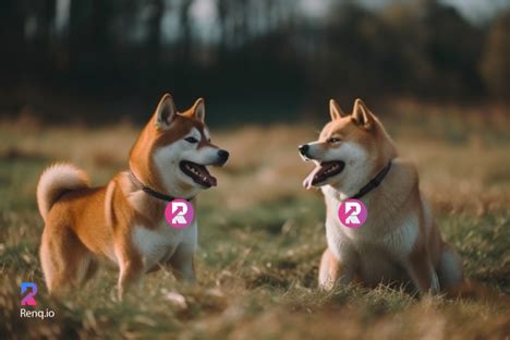 Dogecoin (DOGE) Might Grow In 2023 But Not as Expected, Shiba Inu (SHIB ...