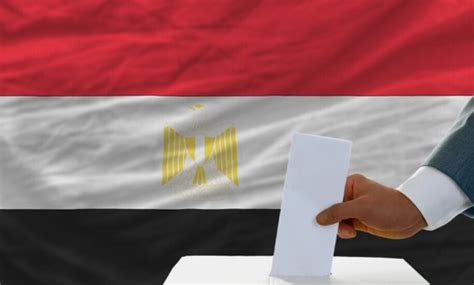 Technical Success: National Election Authority Ensures Smooth Overseas Voting - EgyptToday