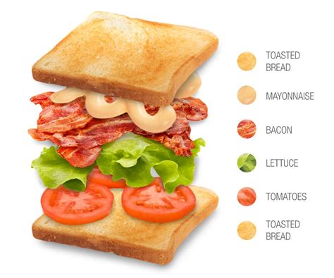 BLT Sandwich | Traditional Sandwich From United States of America