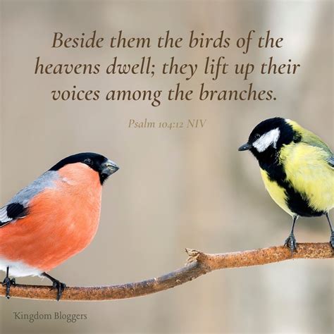 16 Bible Verses About Birds