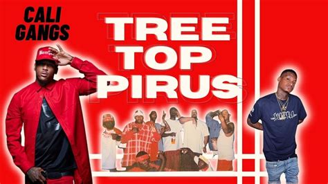 Tree Top Piru (Blood Gang) | YG & Slim 400 Set | California Gangs - YouTube