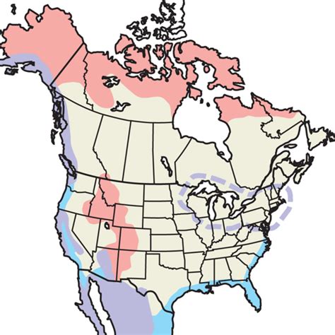 Peregrine Falcon Migration Map - Map Of New Hampshire