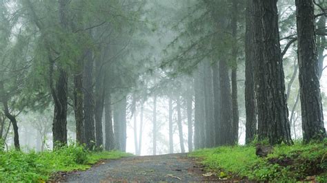 Vagamon,Wagamon, Vagamon hill station, Vagamon Heights, Vagamon Hideout