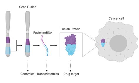 Whole genome and transcriptome analysis enables robust detection of ...