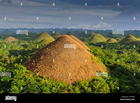 CHOCOLATE HILLS - CHOCOLATE HILLS OF BOHOL PHILIPPINES - WORLD NATURAL HERITAGE