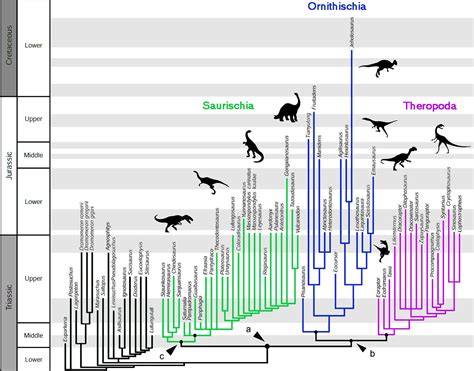 Shaking Up the Dinosaur Family Tree - The New York Times