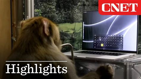 Elon Musk Shows Latest Neuralink Demo of Monkey Typing with its Mind – Frank's World of Data ...