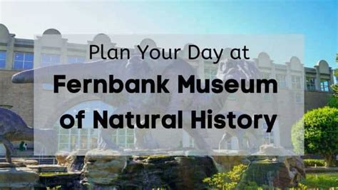 Plan Your Day at Fernbank Museum of Nat History | Info, Tips, Data, Guide & More!