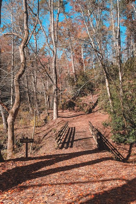 Hike the Deep Creek Trail Loop in the Smoky Mountains