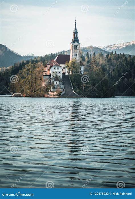 Lake Bled Church from Across the Water Portrait Stock Image - Image of calm, blue: 120575923