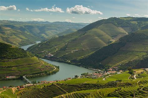 Douro Wine Live Experience 2021 - Taste the best, enjoy the unique ...