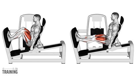 Seated Leg Press Muscles Worked Shop | juliannakunstler.com