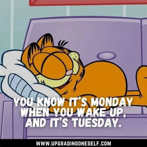 Top 15 Hilarious Quotes From Garfield To Make You Laugh